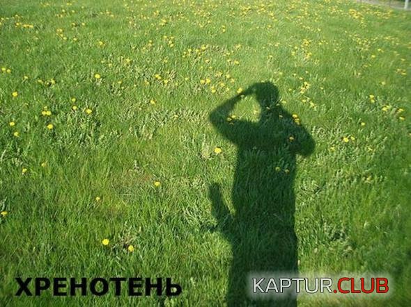 ea9594f3bcf4ee10cf409c5ccbc_prev.jpg | Рено Каптур Клуб Россия | Форум KAPTUR.SU