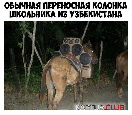 eb634c4758f623610613b3dc5e3.jpg | Рено Каптур Клуб Россия | Форум KAPTUR.SU