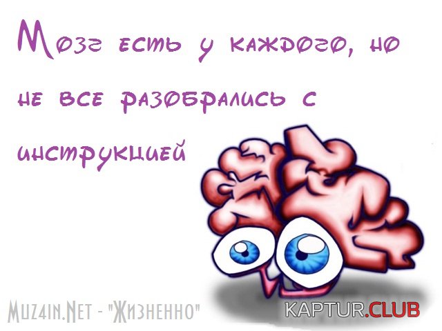 eb640011b55078b613f651e8f0a.jpg | Рено Каптур Клуб Россия | Форум KAPTUR.SU
