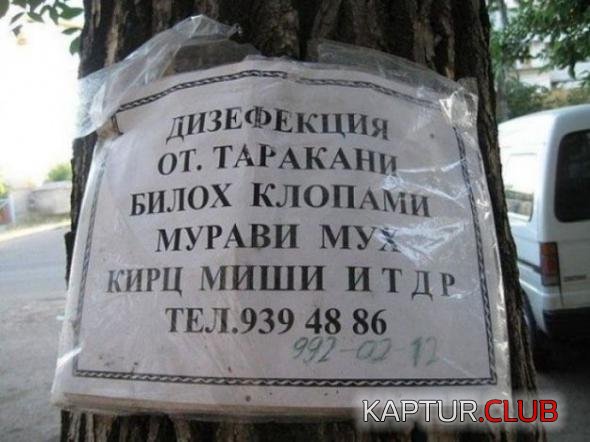 eb92b59c3f06517f5b893100a1a_prev.jpg | Рено Каптур Клуб Россия | Форум KAPTUR.SU