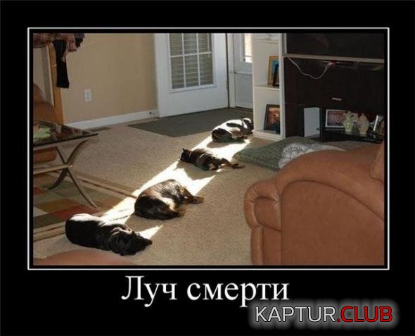 ec3b4cce8b5f8de93b2910d65c5_prev.jpg | Рено Каптур Клуб Россия | Форум KAPTUR.SU