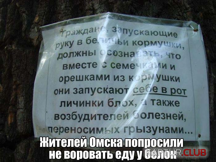 ec4c2c6f1c530f2255d42c7456d.jpg | Рено Каптур Клуб Россия | Форум KAPTUR.SU