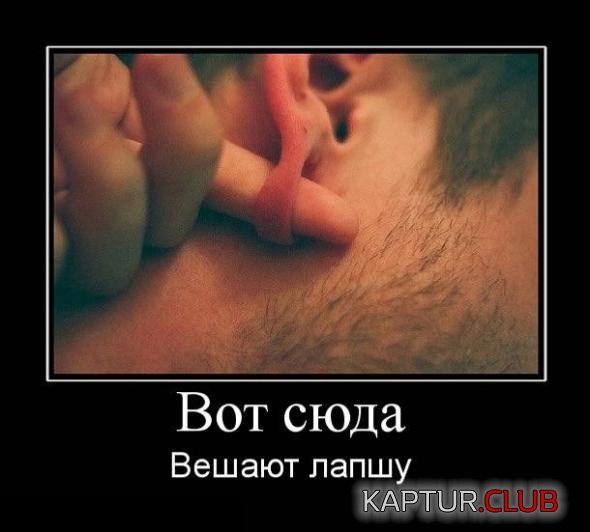 ec9ec551ce55b135341e54bec63_prev.jpg | Рено Каптур Клуб Россия | Форум KAPTUR.SU