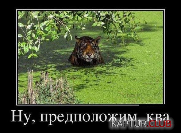 ecaf1233f6de890b2bc055304ba_prev.jpg | Рено Каптур Клуб Россия | Форум KAPTUR.SU