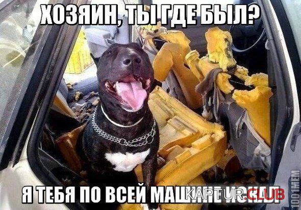 ecf2602ee0ee9845089b3627ae4.jpg | Рено Каптур Клуб Россия | Форум KAPTUR.SU