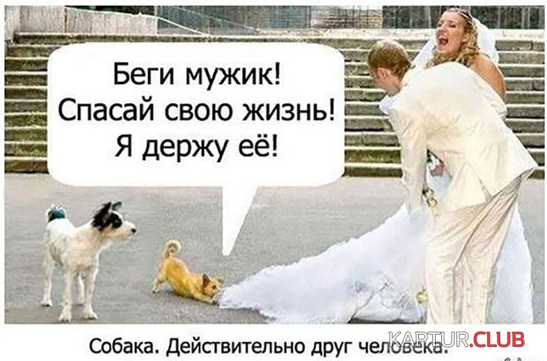 ecfbb1dfe65f070d044b722cdce.jpg | Рено Каптур Клуб Россия | Форум KAPTUR.SU