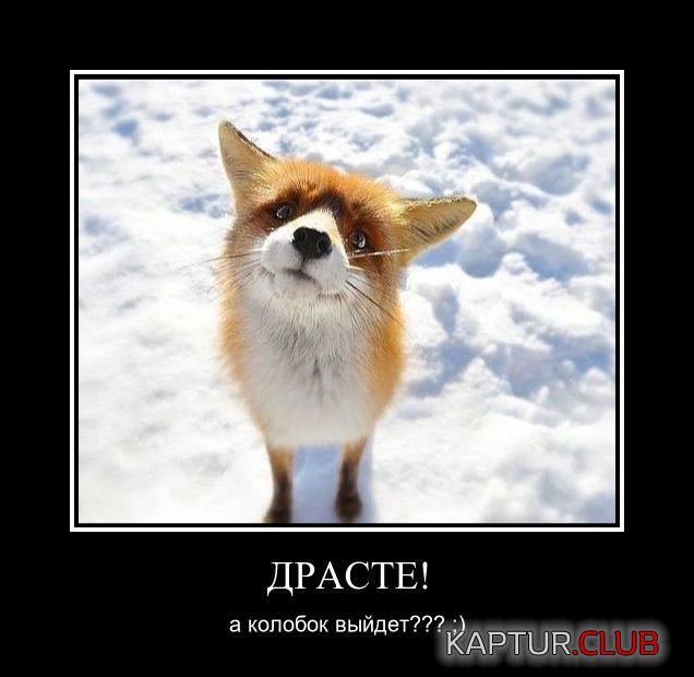 ed856a51da469536d9336a4629f.jpg | Рено Каптур Клуб Россия | Форум KAPTUR.SU