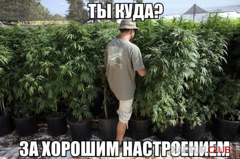 ed86e74b4bbc14b07f97aebe39f.jpg | Рено Каптур Клуб Россия | Форум KAPTUR.SU