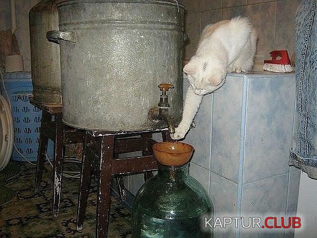edbff14ea1e1e730871fd92415e.jpg | Рено Каптур Клуб Россия | Форум KAPTUR.SU