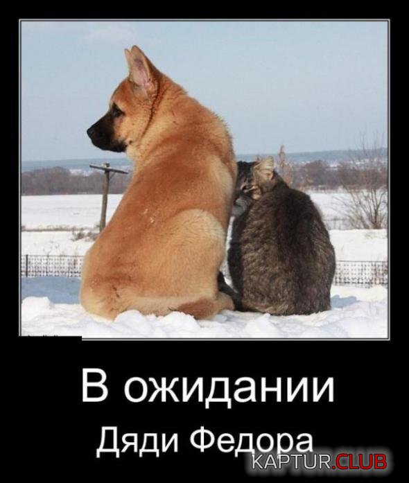 edd4beff8d20ae5775b7f61f2d2_prev.jpg | Рено Каптур Клуб Россия | Форум KAPTUR.SU
