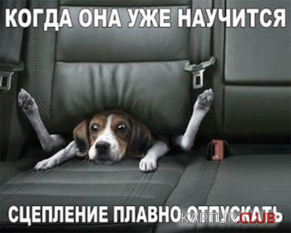 ee142e2272a0143aa9b31043399.jpg | Рено Каптур Клуб Россия | Форум KAPTUR.SU