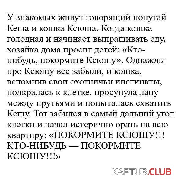 ee37f98fe3f08f10e992814c698.jpg | Рено Каптур Клуб Россия | Форум KAPTUR.SU