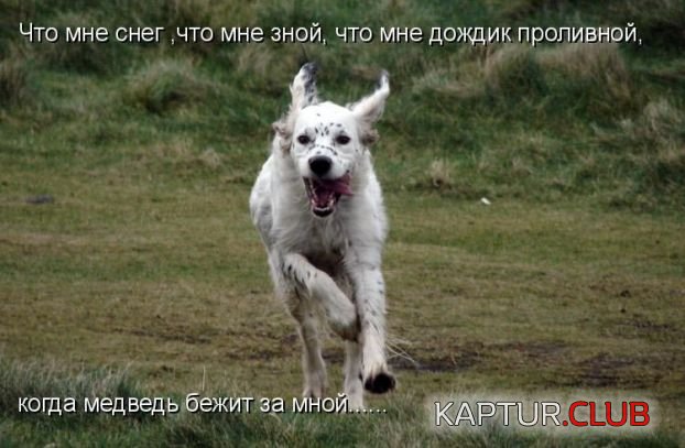 eea14d90070988b9519c9f6a1f468808.jpg | Рено Каптур Клуб Россия | Форум KAPTUR.SU