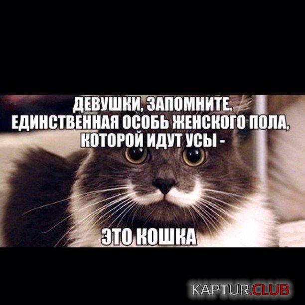 eede528b2fb6913987cf1721eff.jpg | Рено Каптур Клуб Россия | Форум KAPTUR.SU