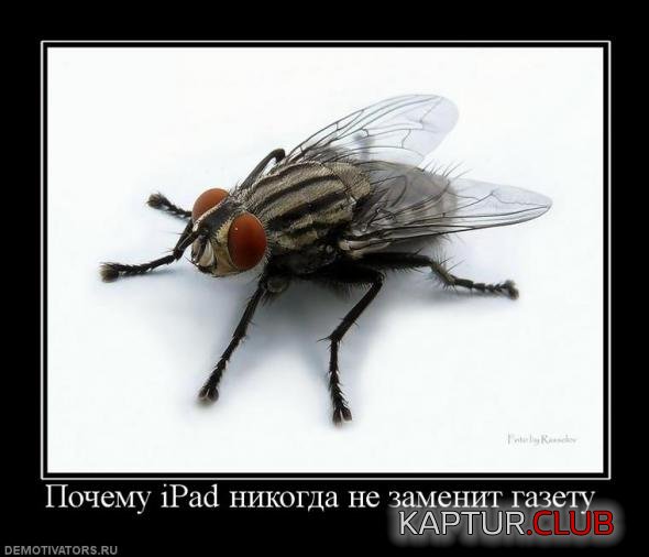 ef54ce557046269807081ca15a3_prev.jpg | Рено Каптур Клуб Россия | Форум KAPTUR.SU