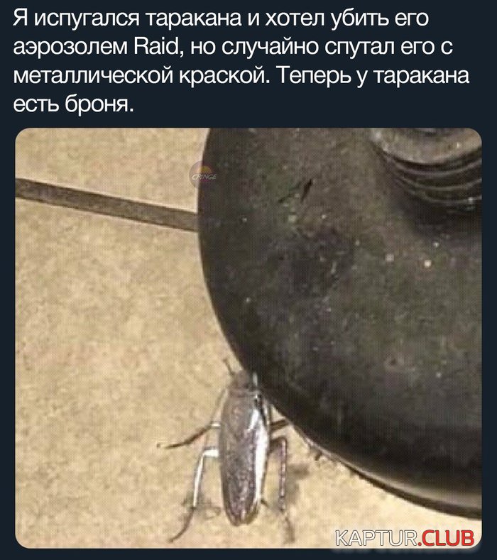 efdcd38132e89731e4796cd2225.jpg | Рено Каптур Клуб Россия | Форум KAPTUR.SU