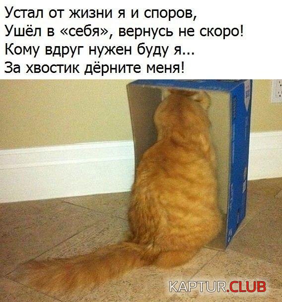 encey0xE4GI.jpg | Рено Каптур Клуб Россия | Форум KAPTUR.SU