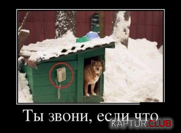 f01f49332848c3d2dd16245af43_prev.jpg | Рено Каптур Клуб Россия | Форум KAPTUR.SU
