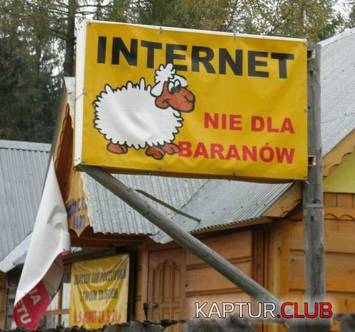 f03c67c4468a66aaf2934dbad1dd6e74_full.jpg | Рено Каптур Клуб Россия | Форум KAPTUR.SU