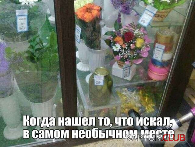 f040e265f320b0c934a809d0995.jpg | Рено Каптур Клуб Россия | Форум KAPTUR.SU