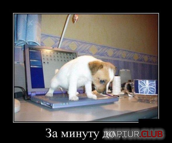 f0792f01e43e1977945073f62c2_prev.jpg | Рено Каптур Клуб Россия | Форум KAPTUR.SU