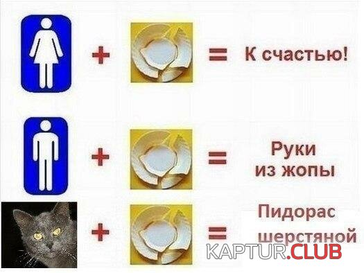 f079b9bf28fbab824a9cf7fe51e.jpg | Рено Каптур Клуб Россия | Форум KAPTUR.SU