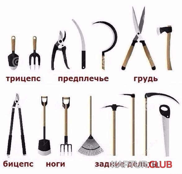 f088f1c792bb9894122cf158bb8.jpg | Рено Каптур Клуб Россия | Форум KAPTUR.SU