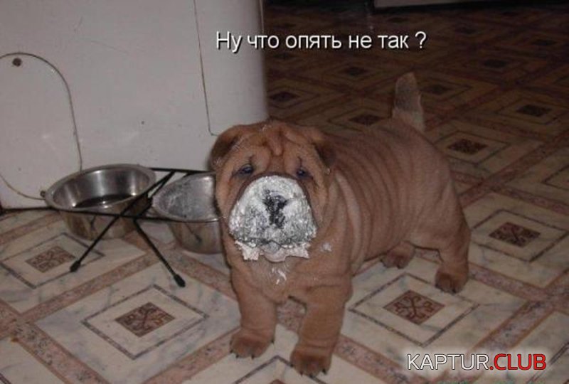f0df8f2c193f33d27da61b75001.jpg | Рено Каптур Клуб Россия | Форум KAPTUR.SU