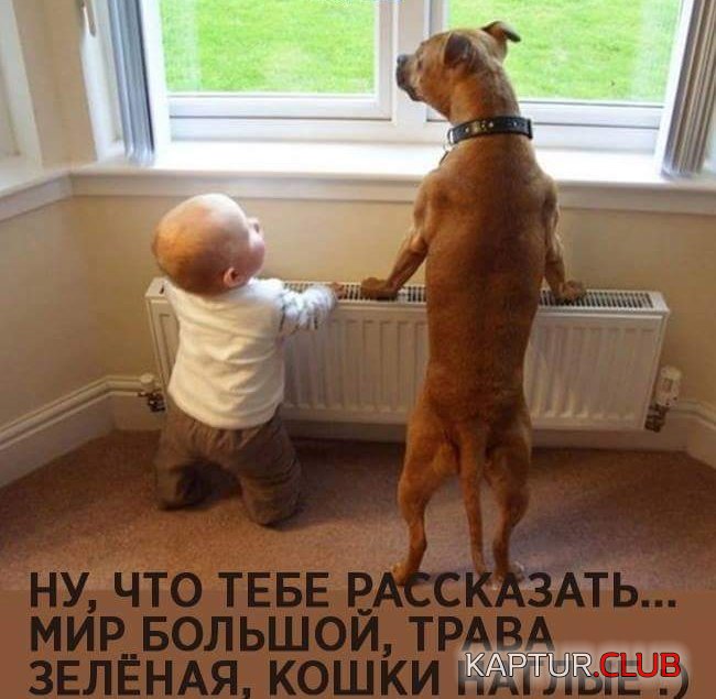f0e6869c28be38786349dd35997.jpg | Рено Каптур Клуб Россия | Форум KAPTUR.SU