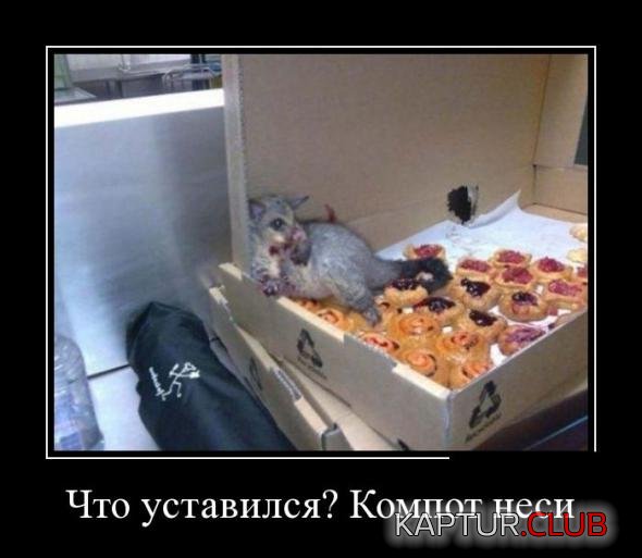 f1afcfc1fd6089bbaf5de2c1cbd_prev.jpg | Рено Каптур Клуб Россия | Форум KAPTUR.SU
