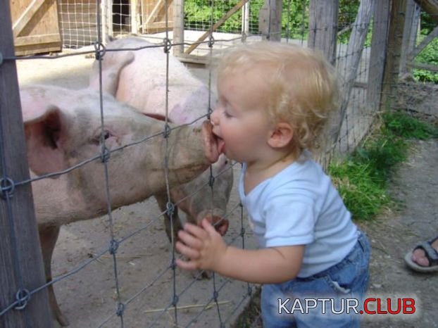 f21f7c4e8ea6e34b268887b07d6da745.jpg | Рено Каптур Клуб Россия | Форум KAPTUR.SU