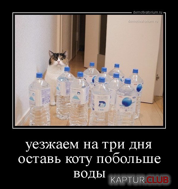 f25abd33b4185d49100ccb85436.jpg | Рено Каптур Клуб Россия | Форум KAPTUR.SU