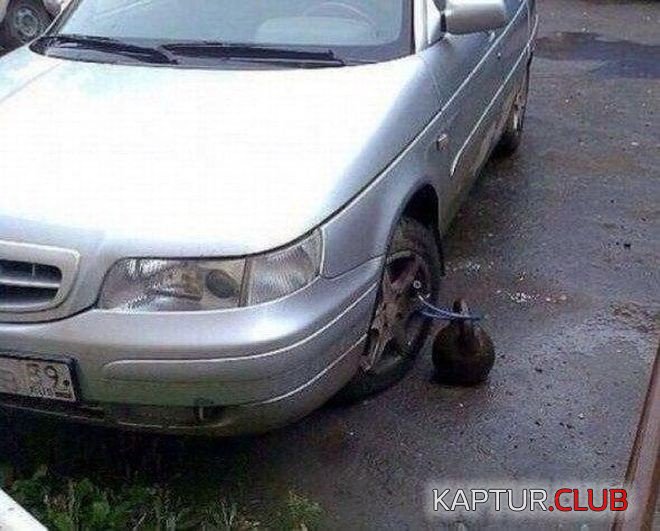 f2a4df7b20d4fa559c6a72bd48d.jpg | Рено Каптур Клуб Россия | Форум KAPTUR.SU