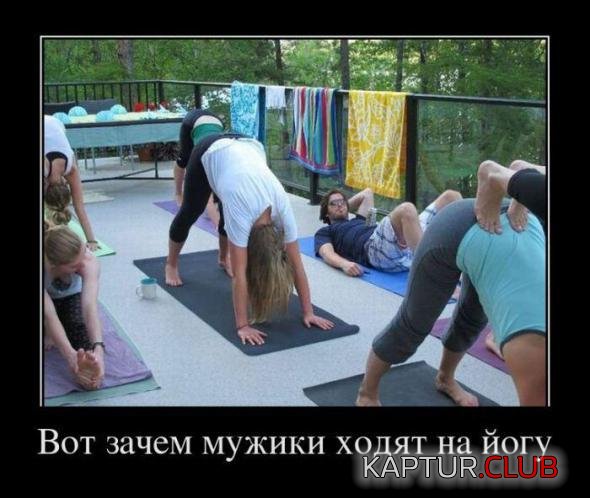 f3c7488563dd5202e05489b8ef7_prev.jpg | Рено Каптур Клуб Россия | Форум KAPTUR.SU