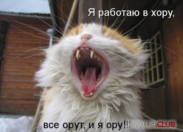 f3dec7659cdc4821054b388b0f5.jpg | Рено Каптур Клуб Россия | Форум KAPTUR.SU