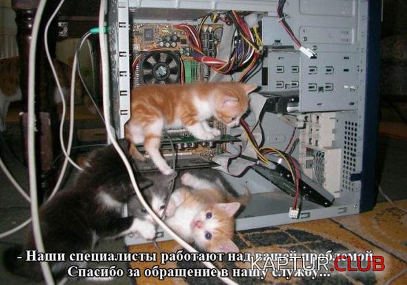 f437cd10e8f54e1b81f36d20cb8_prev.jpg | Рено Каптур Клуб Россия | Форум KAPTUR.SU