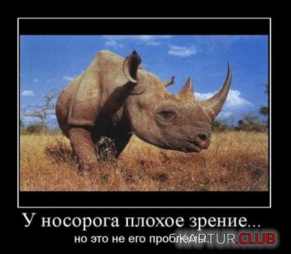 f4612cce3797290f98c51c9024a_prev.jpg | Рено Каптур Клуб Россия | Форум KAPTUR.SU