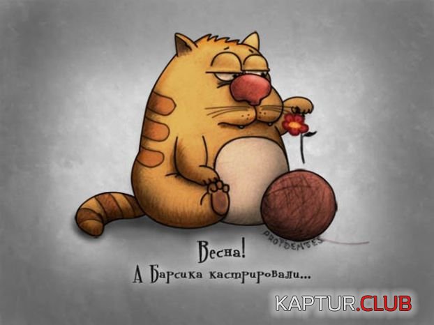f478d2f3fd5e716e6c8388a80b9381a5.jpg | Рено Каптур Клуб Россия | Форум KAPTUR.SU