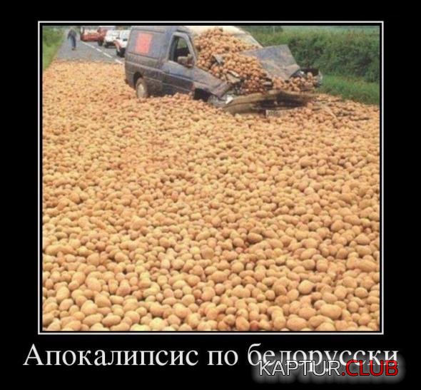 f4d1aa9213d2470e6e1edfda865_prev.jpg | Рено Каптур Клуб Россия | Форум KAPTUR.SU
