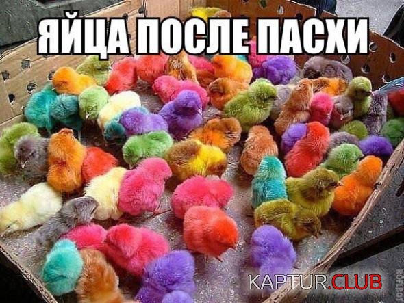 f4d39ae6c2e0022dacb46b7fed0_prev.jpg | Рено Каптур Клуб Россия | Форум KAPTUR.SU