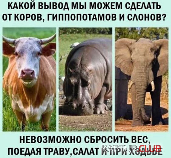 f4d96cb7a9c50b7445762dd4986.jpg | Рено Каптур Клуб Россия | Форум KAPTUR.SU