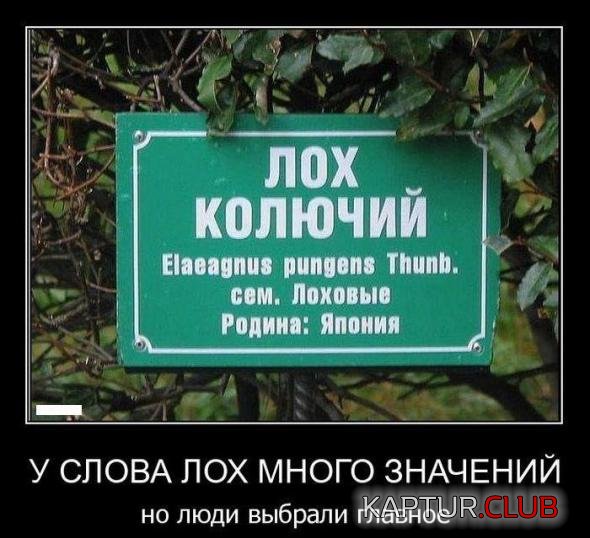 f4ec155816deb7c1bdf60d44127_prev.jpg | Рено Каптур Клуб Россия | Форум KAPTUR.SU