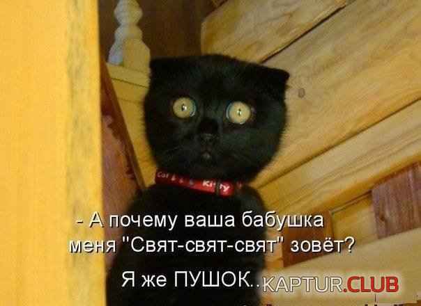 f51edde40c50b179d2caa667025.jpg | Рено Каптур Клуб Россия | Форум KAPTUR.SU