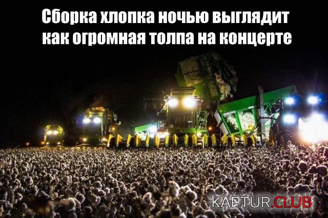 f5ac2e8bc88c34c0cca5840af27.jpg | Рено Каптур Клуб Россия | Форум KAPTUR.SU