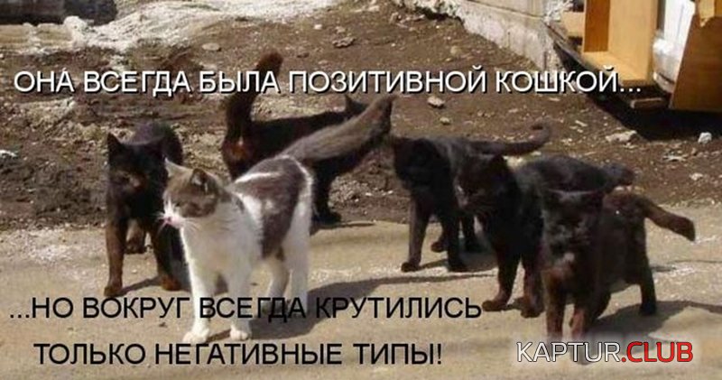 f5bf811ac3887432d88aef9c68f.jpg | Рено Каптур Клуб Россия | Форум KAPTUR.SU
