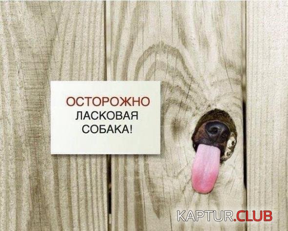 f6c2911ce3cfafa2dd61f124064_prev.jpg | Рено Каптур Клуб Россия | Форум KAPTUR.SU