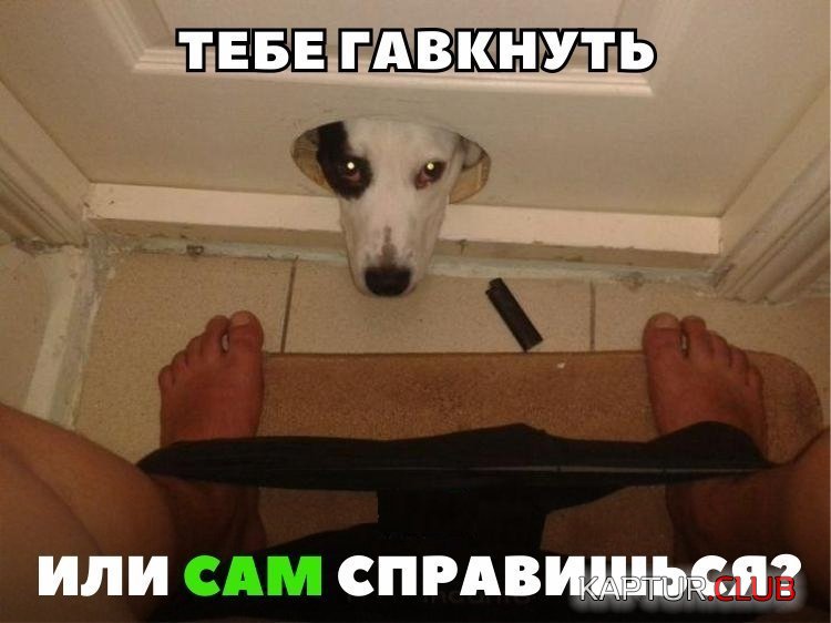 f7215c4e51c6e995c2bd2ac1134.jpg | Рено Каптур Клуб Россия | Форум KAPTUR.SU