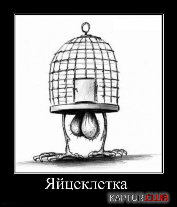 f7290dce380e93a00d141cffa2e_prev.jpg | Рено Каптур Клуб Россия | Форум KAPTUR.SU