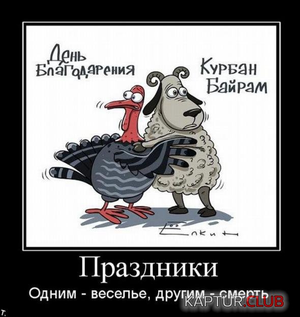 f7a90e22da024707d357646ff84_prev.jpg | Рено Каптур Клуб Россия | Форум KAPTUR.SU