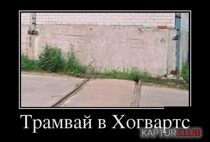 f7b39a08c5d7cc607a6c10d3ad1.jpg | Рено Каптур Клуб Россия | Форум KAPTUR.SU